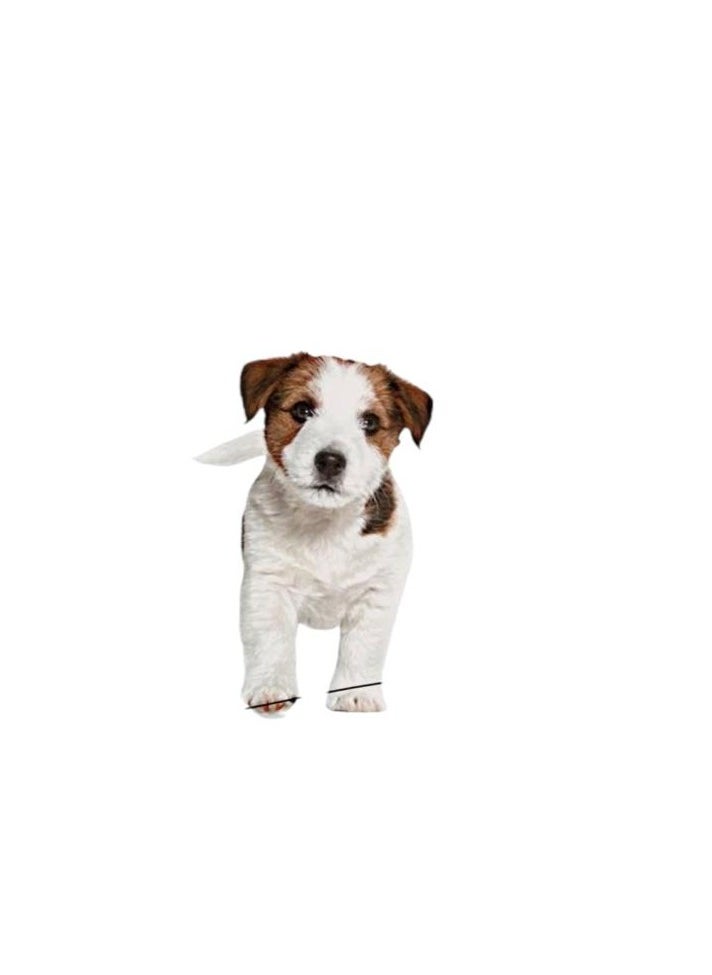ROYAL CANIN Health Nutrition Mini Puppy Dog Food 4kg  - Image 4
