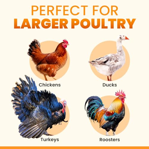 OKKÖBI Extra Large Automatic Chicken Coop Door Solar Powered with Remote - LCD Display, Light Sensor, Timer & Anti-Pinch Function – 11.3" x 8.7" Door Opening – 5-Year Protection – Black – by Okköbi - Image 2