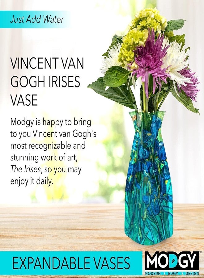 MODGY Collapsible and Expandable Plastic Flower Vase, Unbreakable, Foldable, Decorative Modern Centerpieces, Table Decorations, Van Gogh Irises, 1 Pack - Image 2