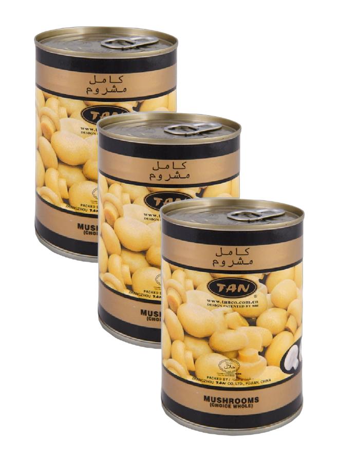 Tan Whole Mushrooms, 400g, Bundle of 3 - Image 1