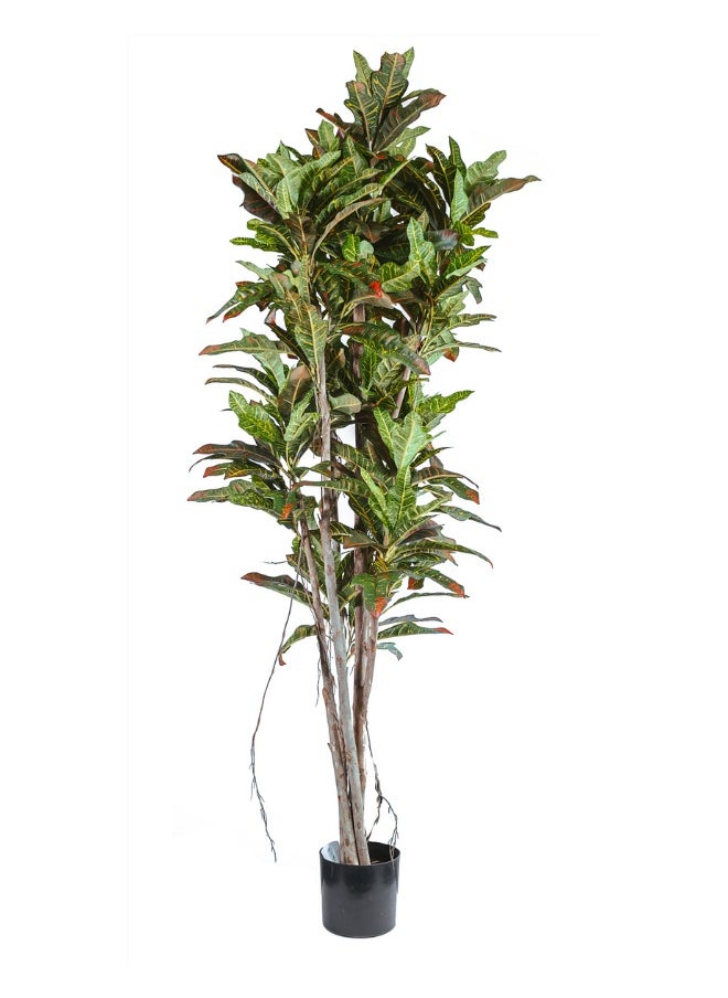 Gulf Flowers 153cm Artificial Croton Tree