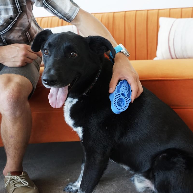 KONG - Zoom Groom Dog Brush, Groom and Massage While Removing Loose Hair and Dead Skin - Blue - Image 2