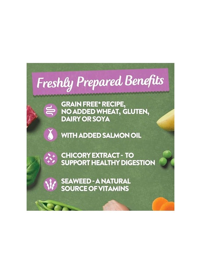 Complete Wet Tray Grain Free Hypoallergenic Adult Dog Food Meaty Bumper Pack 16x400g - Chicken, Lamb, Beef & Turkey - Made with All Natural Ingredients
