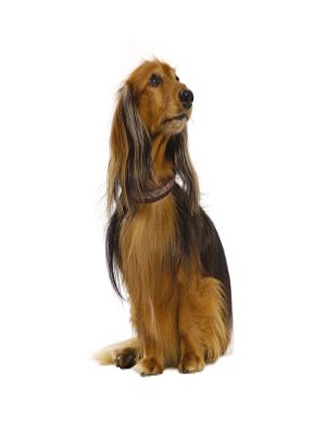 بوبي طوق الأميرة الكريستالية - لون البرقوق / 35 سم