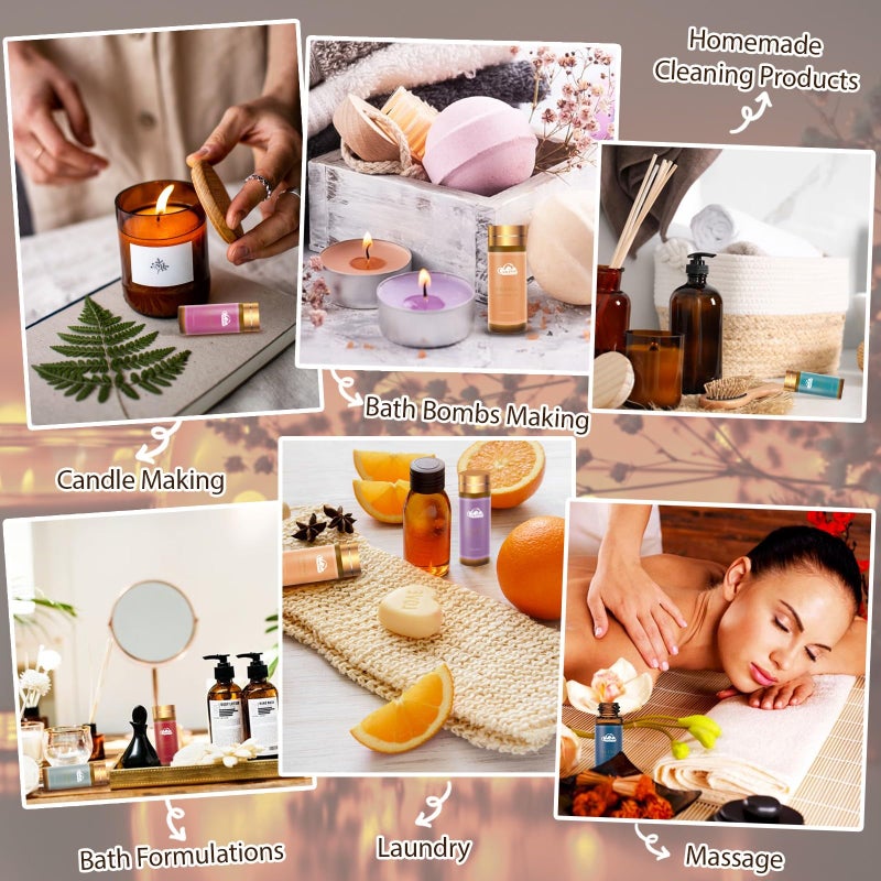Comdian Fragrance Essential Oils Set - 14pcs, Aromatherapy Oils for Skin, Diffusers, Home Care, Humidifier Laundry, Candle Making - Tea Tree, Sandalwood, Lavender, Vanilla, Eucalyptus and More (5mL) - Image 3