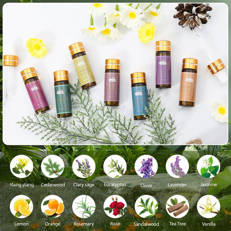 Comdian Fragrance Essential Oils Set - 14pcs, Aromatherapy Oils for Skin, Diffusers, Home Care, Humidifier Laundry, Candle Making - Tea Tree, Sandalwood, Lavender, Vanilla, Eucalyptus and More (5mL) - Image 4