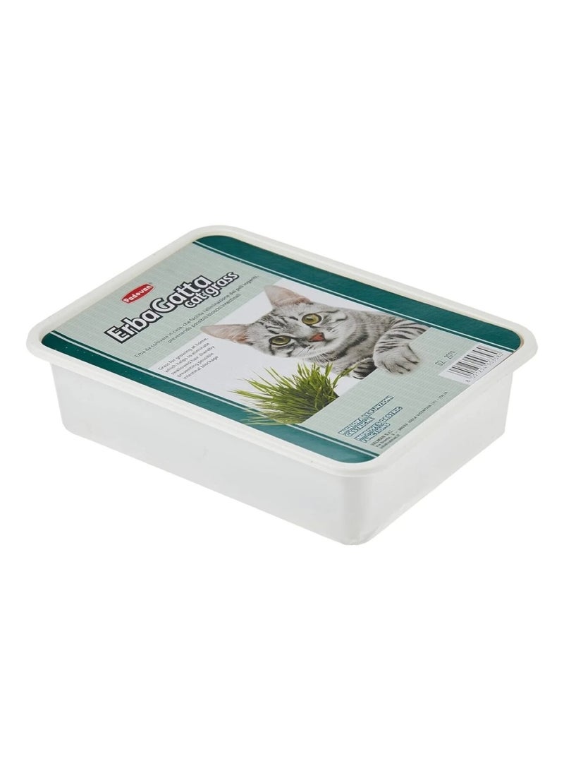 Erbagatta Cat Grass – Multi-Colour - Image 1