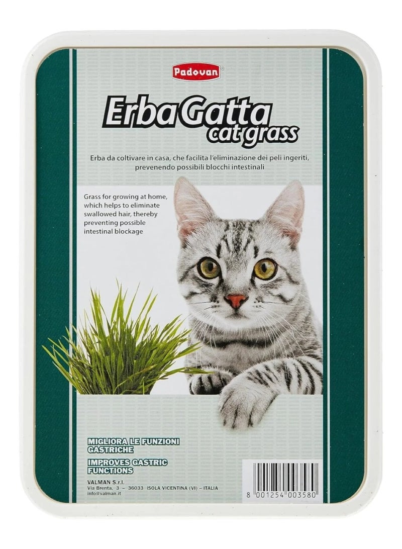 Erbagatta Cat Grass – Multi-Colour - Image 2