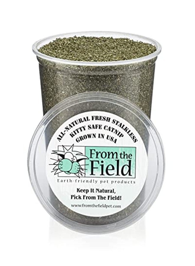 from The Field | Fine Ground Stalkless Catnip | Premium USA-Grown Catnip for Toys & Playtime | Fresh, Potent, Non-Toxic, Eco-Friendly | Safe for Kittens & Cats | Resealable 6 oz Tub - Image 1