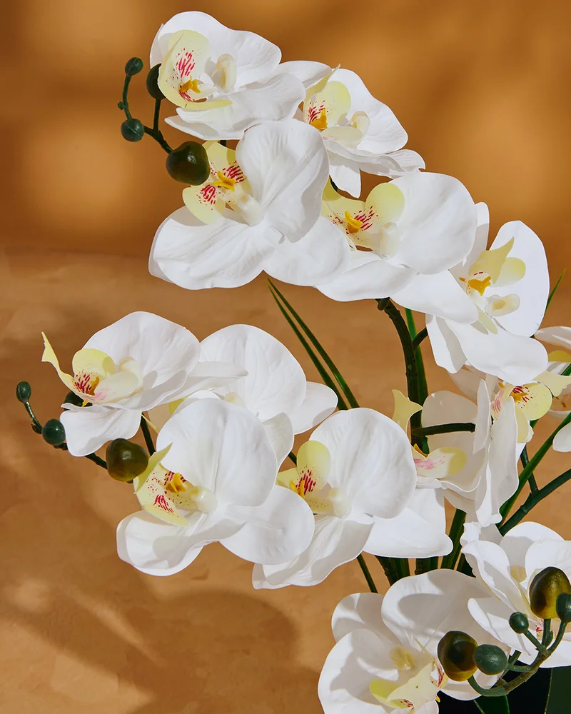 REDTAG White Artificial Orchid In Ceramic Planter