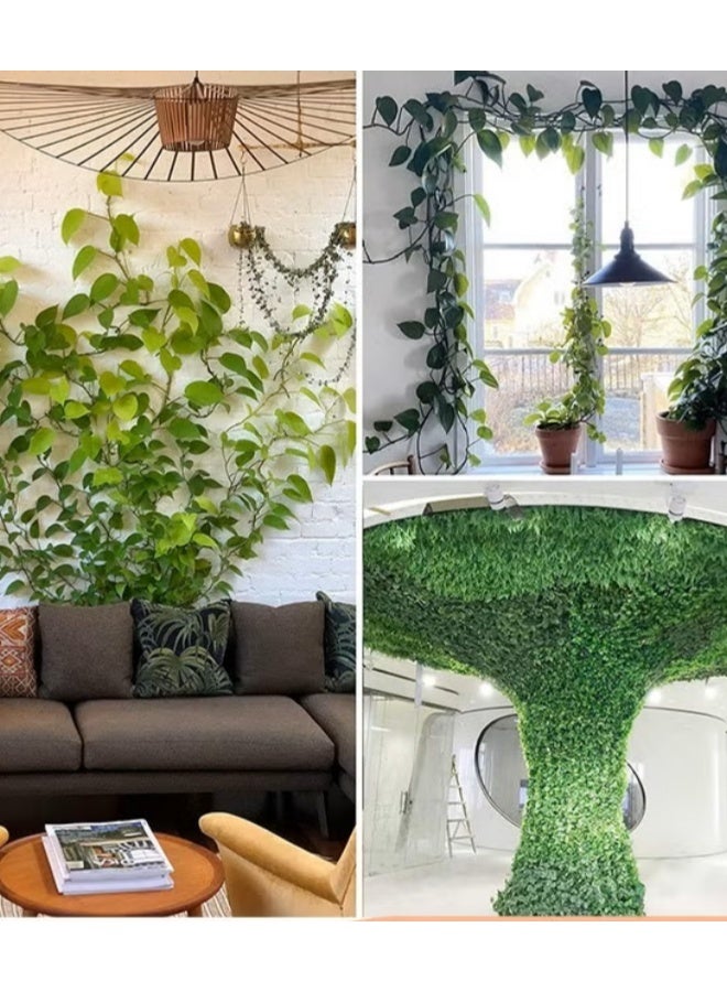EETU Plant Clips For Wall,50 PCS Snail Shape Invisible Climbing Plant Wall Clips For Indoor And Outdoor Plants Support And Decoration - Image 2