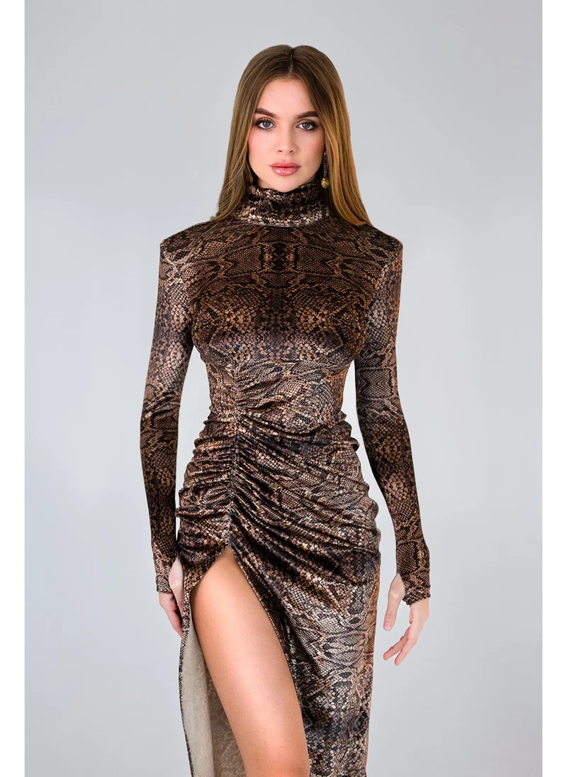 Anita's Desired Dress - Snake