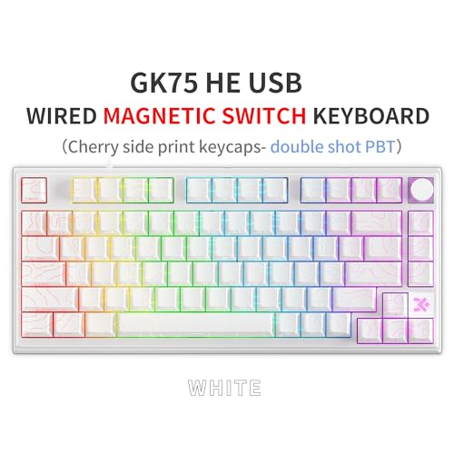 MOLGRIA x SKYLOONG 75% Gaming Keyboard, GK75 HE USB Wired Magnetic-Switch Mechanical Keyboard with Cherry Profile Double-Shot PBT Keycaps, South-Facing RGB Backlit and Knob(White Horizon Line) - Image 2