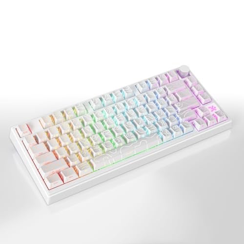 MOLGRIA x SKYLOONG 75% Gaming Keyboard, GK75 HE USB Wired Magnetic-Switch Mechanical Keyboard with Cherry Profile Double-Shot PBT Keycaps, South-Facing RGB Backlit and Knob(White Horizon Line) - Image 4