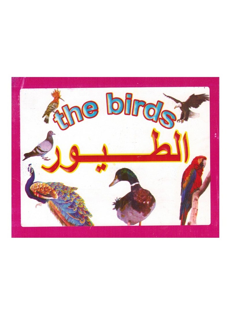 فلاش كروت تعليمية الطيور - Image 1