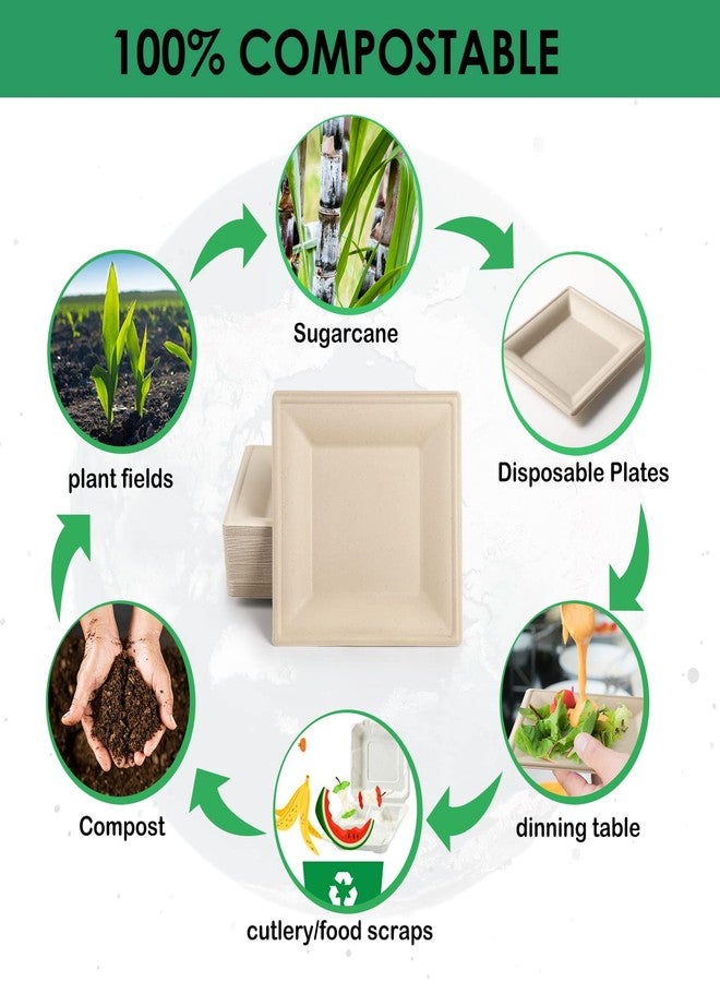 Gezond 100 Pack Compostable Square Plates 6 Inch Disposable Paper Plates Sugarcane Cake Plates for Party Unbleached Eco-friendly Salad Plates Biodegradable - Image 3