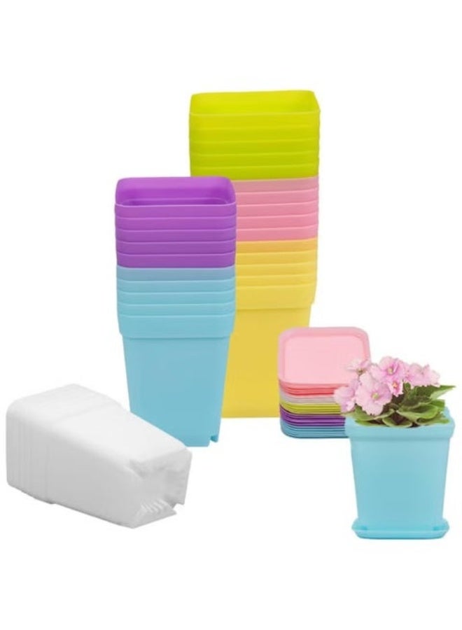 rocooart Plastic Plant Pots, Seedling Nursery with Saucers and 3 Mini Garden Tools, Succulent Planter Container, Room, Office, Balcony Decor, Multicolor 24 Pack 3 Inch - Image 3