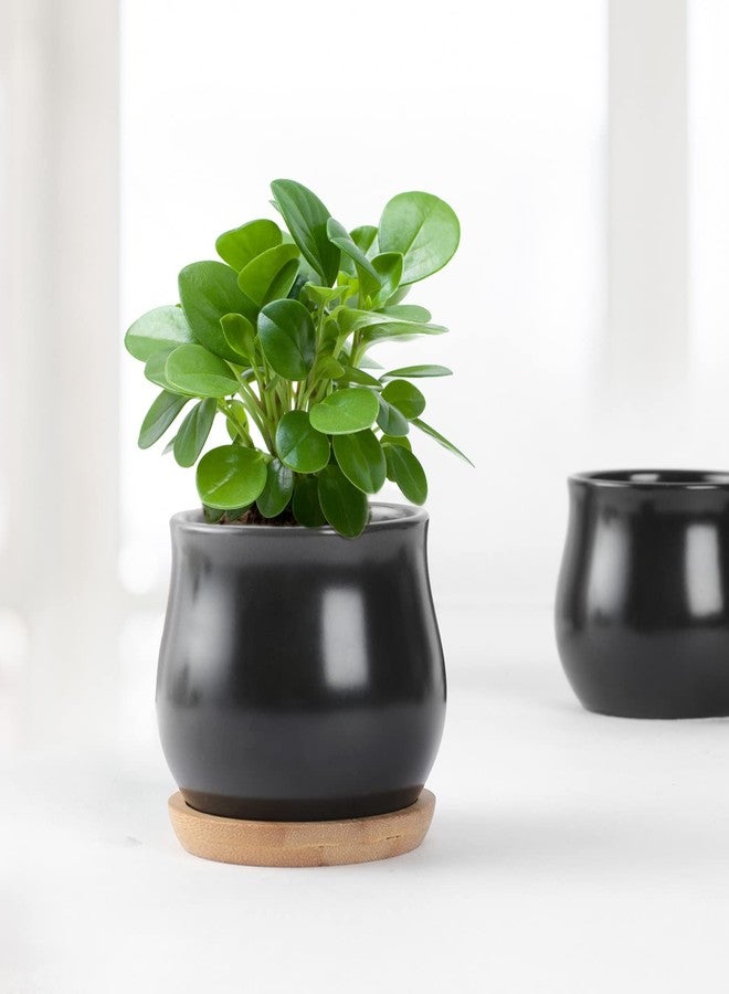 SHECIPIN 8 Pack Succulent Plant Pot, Matte Black Mini 2.6 inch Ceramic Flower Planter Pot with Bamboo Tray, Small Pots for Plants, Plants Not Included - Image 4