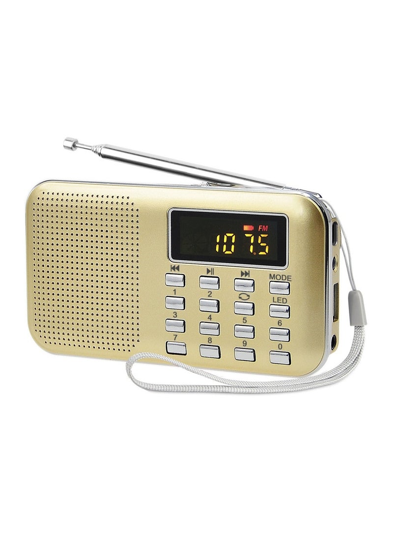 Portable FM/AM Dual-Band Multi-functional Radio L-218AM with Card Speaker - Image 1
