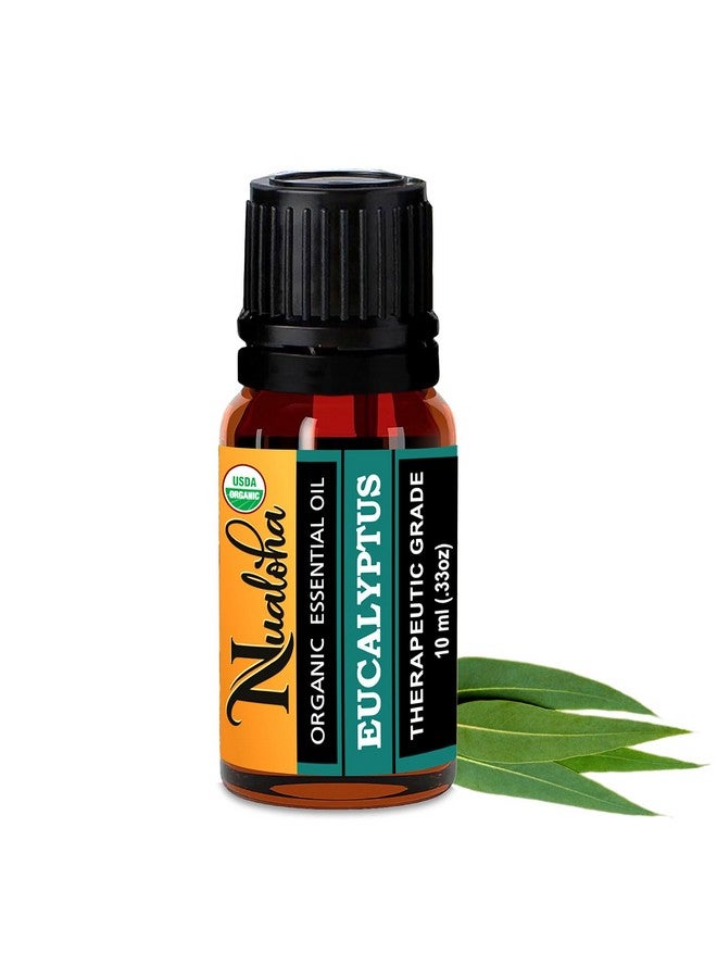 Nualoha Organic Eucalyptus Essential Oil (10ML) -100% Pure & Natural Premium Therapeutic Grade For Aromatherapy Diffusers, Skin & Body Care (Pack of 1) - Image 1