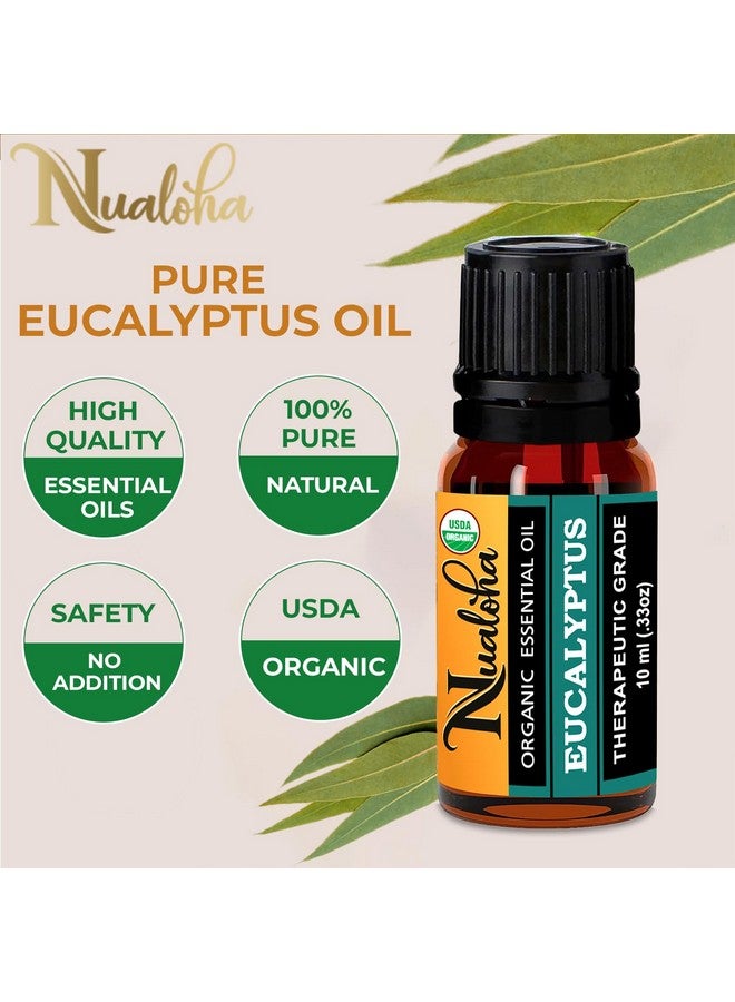 Nualoha Organic Eucalyptus Essential Oil (10ML) -100% Pure & Natural Premium Therapeutic Grade For Aromatherapy Diffusers, Skin & Body Care (Pack of 1) - Image 4