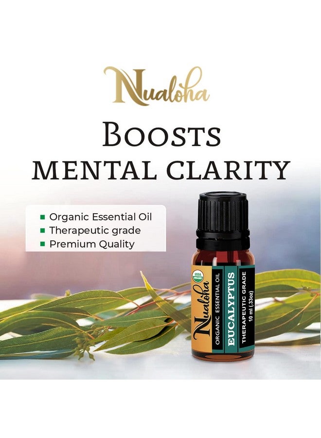 Nualoha Organic Eucalyptus Essential Oil (10ML) -100% Pure & Natural Premium Therapeutic Grade For Aromatherapy Diffusers, Skin & Body Care (Pack of 1) - Image 2