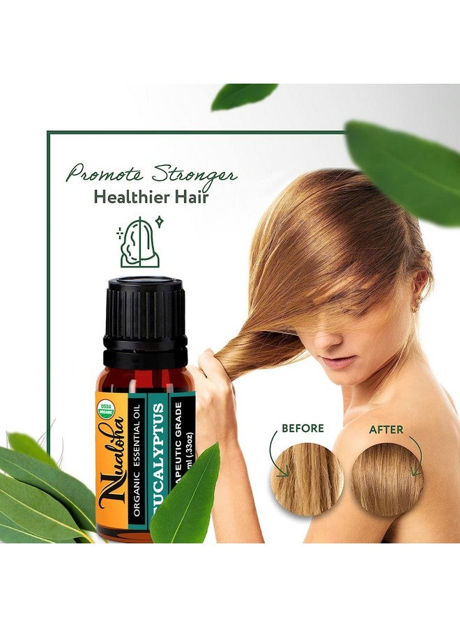 Nualoha Organic Eucalyptus Essential Oil (10ML) -100% Pure & Natural Premium Therapeutic Grade For Aromatherapy Diffusers, Skin & Body Care (Pack of 1) - Image 3