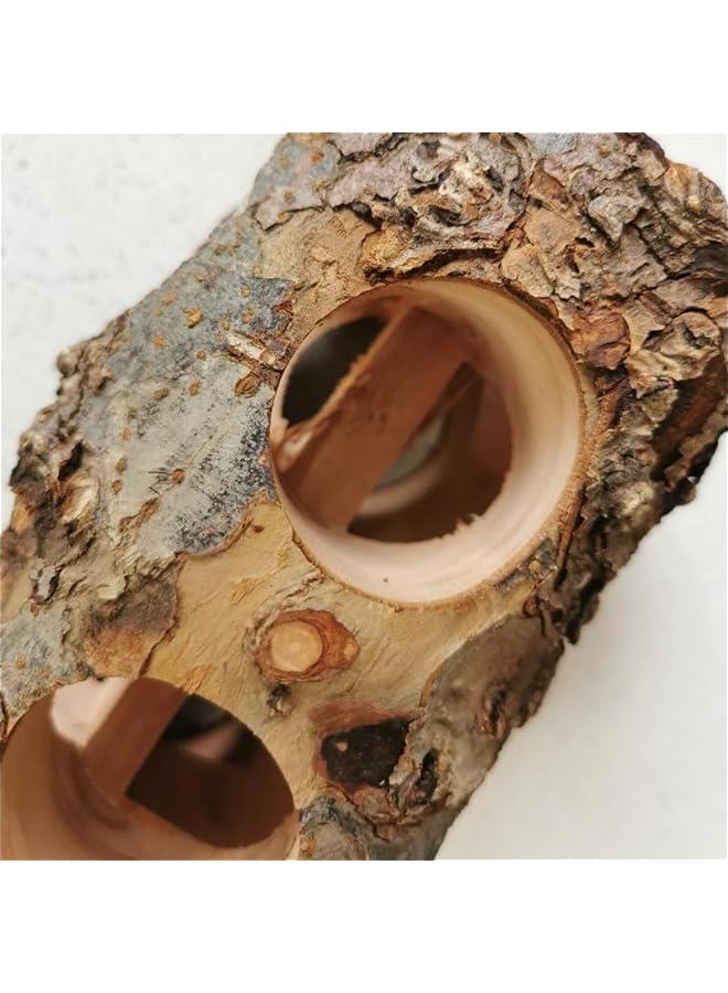 لعبة تأرجح ومنصة قفز وألعاب تسلق للقفص، مصنوعة من خشب التفاح والجوز. - Image 2