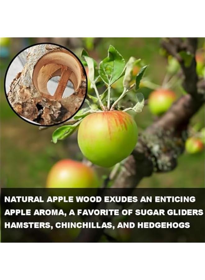 لعبة تأرجح ومنصة قفز وألعاب تسلق للقفص، مصنوعة من خشب التفاح والجوز. - Image 5