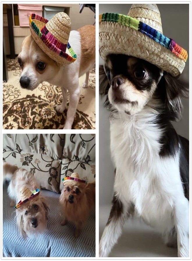 BTYMS 8 Pieces Mini Sombrero Party Hats Fiesta Party Decorations Party Supplies Sombrero Costume Hats for Table, Dolls, Dogs- 5.9 Inch - Image 2