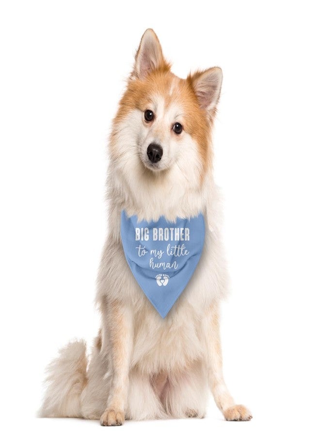 ZPPRJF Big Brother Big Dog Bandana - baby Blue, Gender Reveal, Announcement - Triangle Scarf for Small, Medium, Large Dogs - Image 2