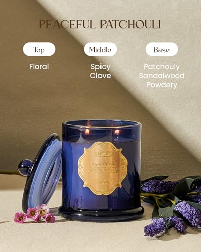 M&SENSE Patchouli Candles for Home Scented, Organic Soy Wax Non Toxic, Relaxing Fall Winter Candles for Spa Meditation, 2 Wick 12.7oz 75 Hour Long Lasting,Thanksgiving Christmas Gift - Image 2