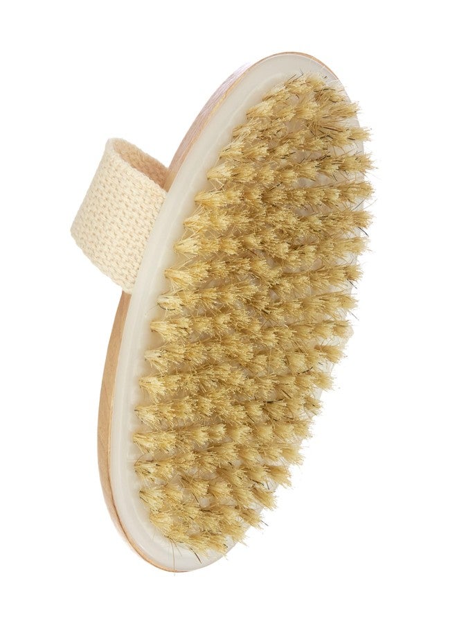 FOREVER 21 Oval Natural Bristle Dry Body Brush - Exfoliating Skin Brush for Cellulite, Lymphatic Drainage & Detox | Smoothing Body Scrubber for Circulation & Soft Skin | Spa Tool for Women - Image 2