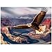 Biarek Jigsaw Puzzles for Adults 500 Pieces Eagle Puzzles for Teens Elderly Interlock Perfectly Letter on Back No Dust Home Decor Family Fun Puzzle Games Toys Gift for Men Women Seniors 21X15 - Image 2