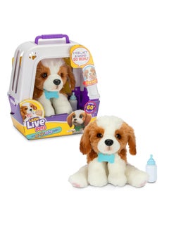 Puppy