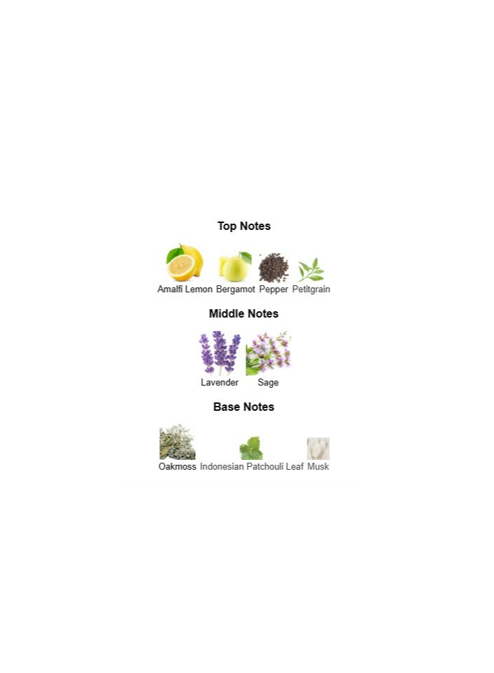 LANVIN L'Homme Sport For Men EDT 100ml - Image 2