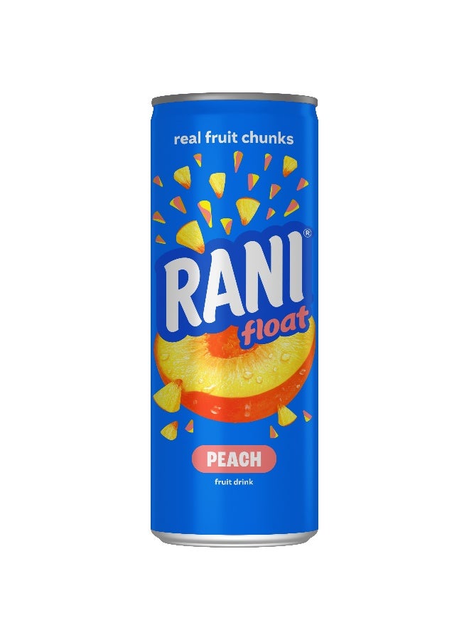 Rani عصير راني من الخوخ مع قطع 240 مل في علبة × 24 عبوة - Image 4