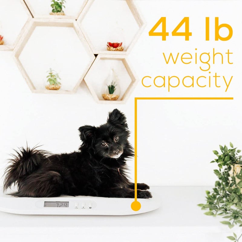 Beurer BY90 Baby Scale, Pet Scale, Digital, with Measuring Tape, tracking weight with App | For: Infant, Newborn, Toddler /Puppy, Cat - Animals | LCD Display, weighs Lbs/Kg/Oz Highly accurate - Image 4