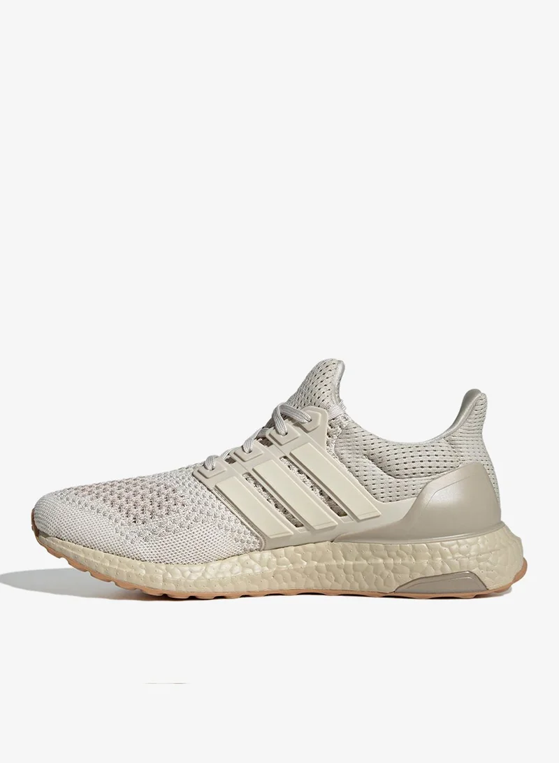 Adidas Ultraboost 1.0
