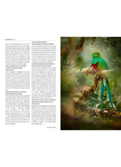 The Rough Guide to Costa Rica (Travel Guide with Free eBook)  - Image 5