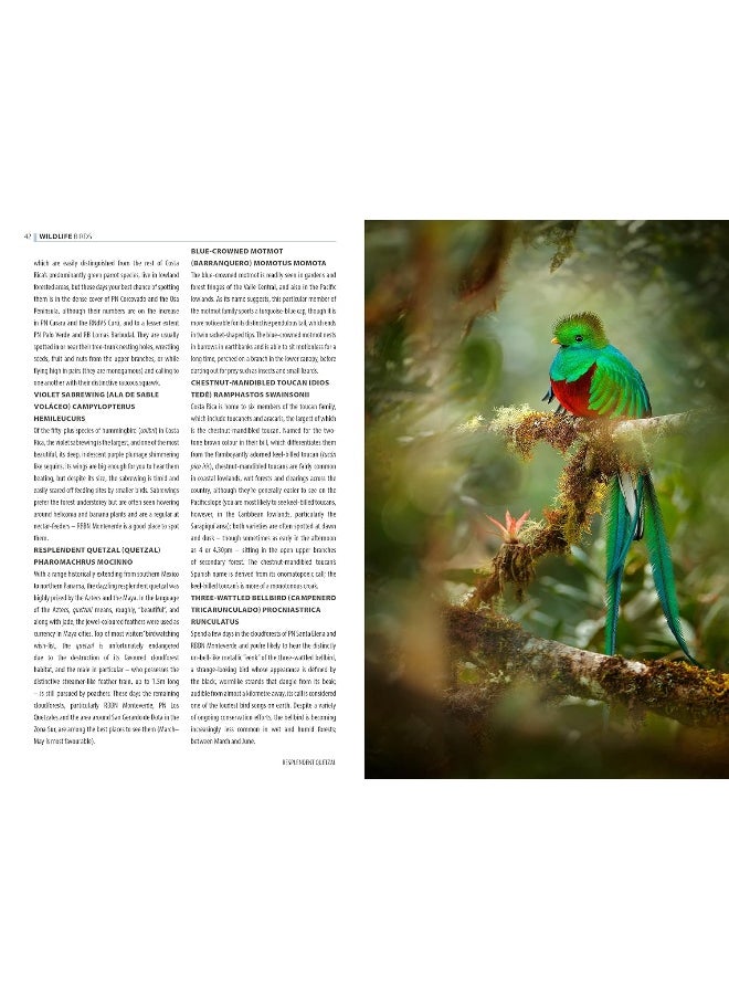 The Rough Guide to Costa Rica (Travel Guide with Free eBook)  - Image 5