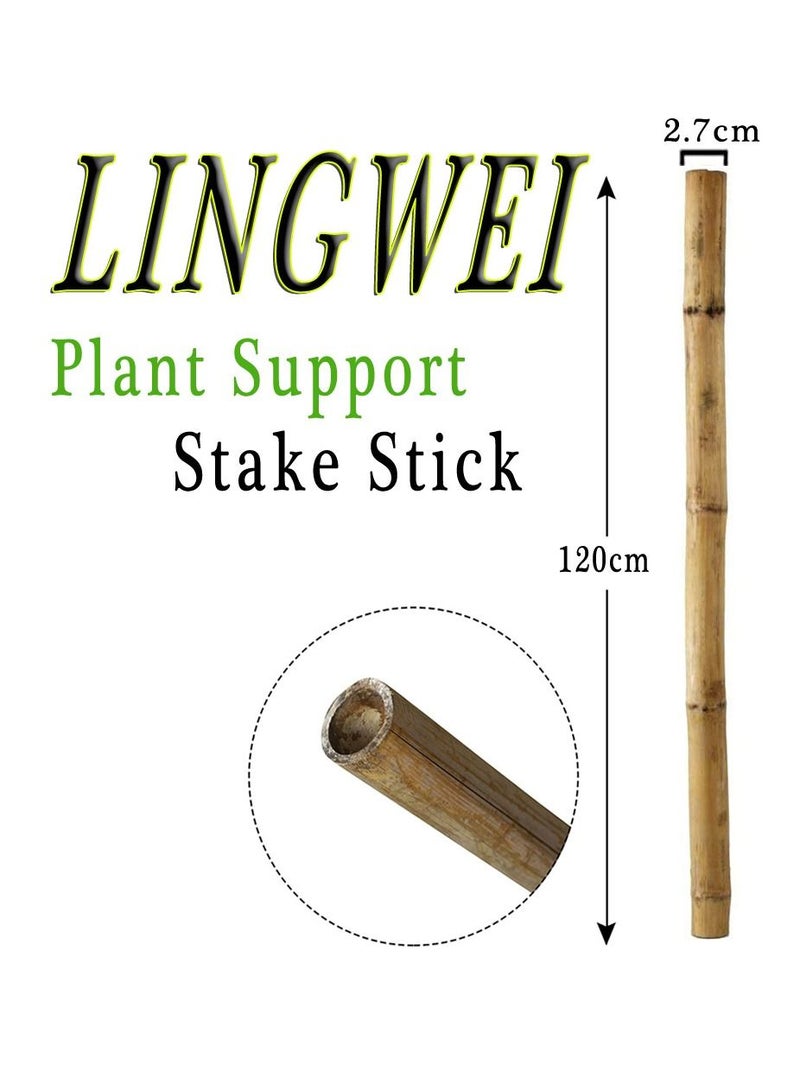 LINGWEI Natural Thick Bamboo Stakes Garden Vine Plant Stakes Flowers Plants Support Canes Poles Dowel Rod Wooden Crafts Sticks((120cm)(10pcs))  - Image 4