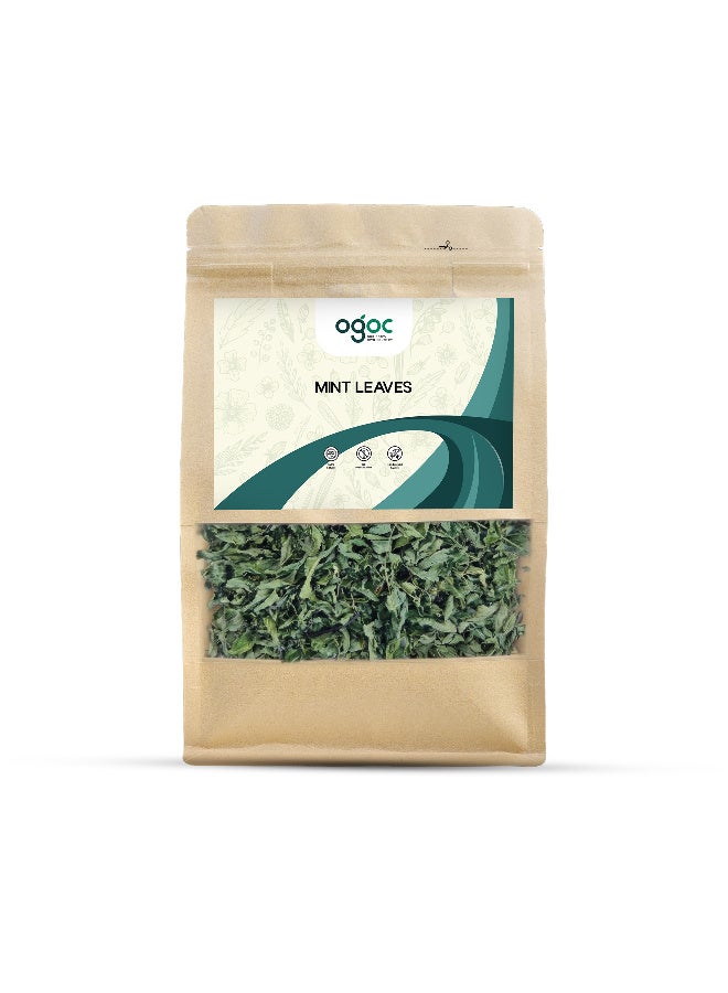OGOC Dried Mint Leaves Mint Flakes Pudina Leaves Aromatic Dried Herb Pantry Staple Seasoning for Cooking Curries Tea Garnish - Image 1