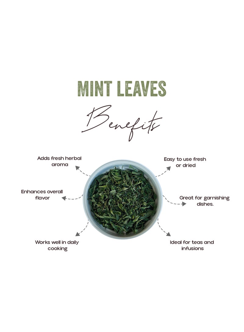 OGOC Dried Mint Leaves Mint Flakes Pudina Leaves Aromatic Dried Herb Pantry Staple Seasoning for Cooking Curries Tea Garnish - Image 2