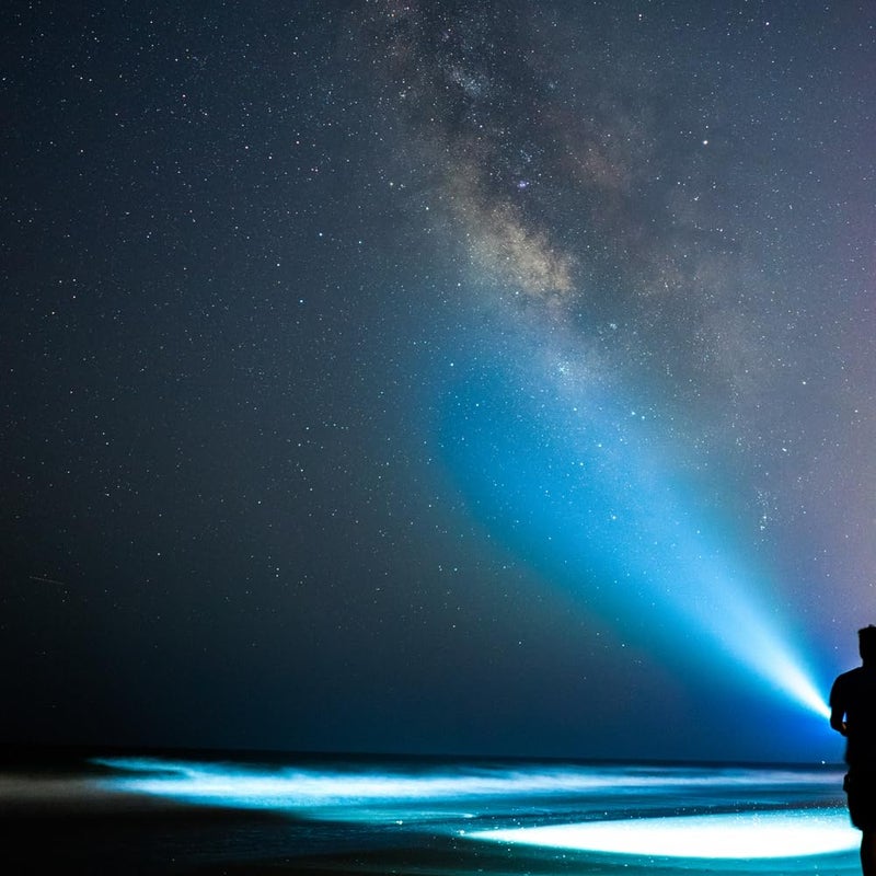 Maglite ML50L LED 2-Cell C Flashlight, Black - Image 2