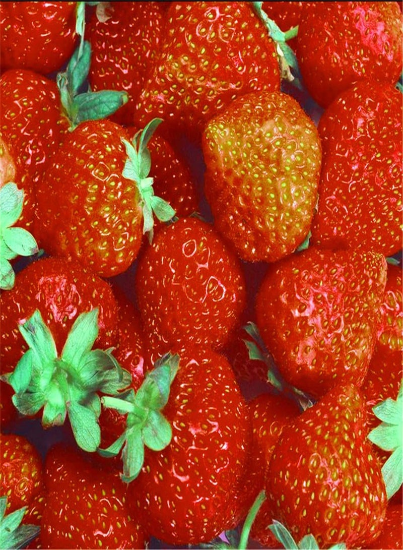 GGOOT Imported Strawberry Seeds Outdoor Herb Seeds Home Collection Gift/Fresh Oriental Seeds UK-100 Pcs - Image 1