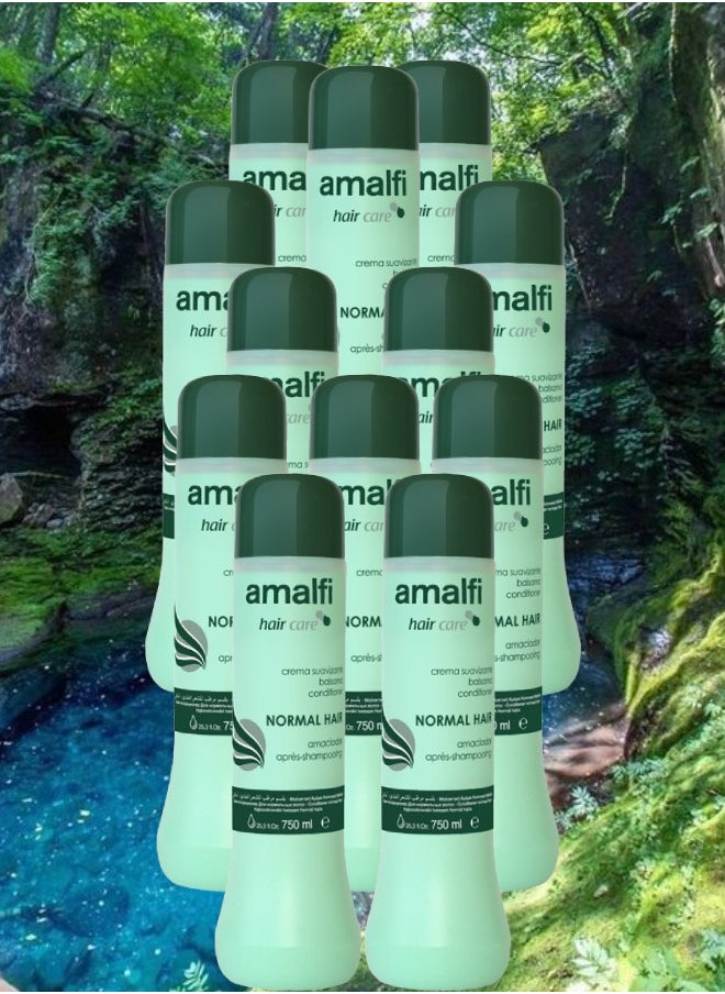 12 Pieces Amalfi Conditioner For Normal Hair 750ML - pzsku/ZB892809DD5053DD06F72Z/45/_/1721413435/5f5ac782-5ba7-4622-8bd4-9999d1ed190a