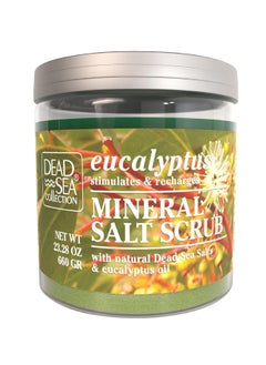 Dead Sea Collection Bundle-Dead Sea Collection Salt Body Scrub-2 X Large 23.28 OZ - Salt Body Scrub Tee Tree+Salt Body Scrub Eucalyptus - Exfoliating Effect - Includes Organic Essential Oils and Natural Dead Sea Minerals  - Image 2