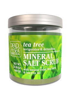 Dead Sea Collection Bundle-Dead Sea Collection Salt Body Scrub-2 X Large 23.28 OZ - Salt Body Scrub Tee Tree+Salt Body Scrub Eucalyptus - Exfoliating Effect - Includes Organic Essential Oils and Natural Dead Sea Minerals  - Image 3