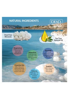 Dead Sea Collection Bundle-Dead Sea Collection Salt Body Scrub-2 X Large 23.28 OZ - Salt Body Scrub Tee Tree+Salt Body Scrub Eucalyptus - Exfoliating Effect - Includes Organic Essential Oils and Natural Dead Sea Minerals  - Image 4